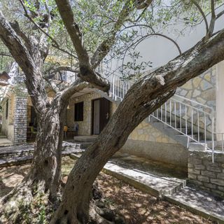 Apartment Maslina Vodice (5)