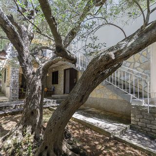 Apartment Maslina Vodice (5)