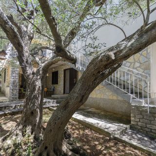 Apartment Maslina Vodice (5)