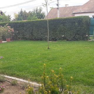 Varga Apartman Siófok-Kiliti (5)