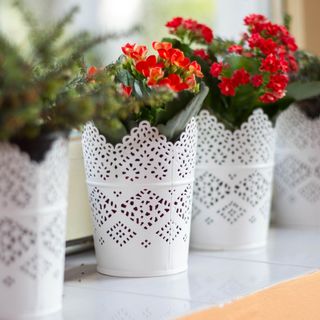 Andante Apartman Agárd (4)