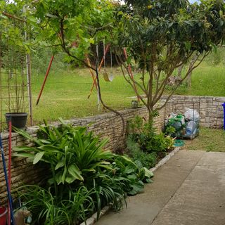 Apartmanok Parkolóhellyel Viganj, Peljesac - 13241 Viganj (5)