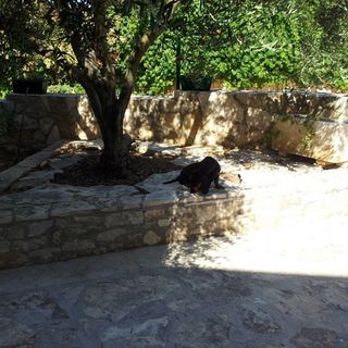 Apartmanok Parkolóhellyel Rukavac, Vis - 13337 Rukavac (5)