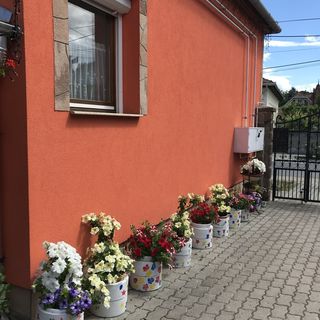 Bíró-Kéró Apartman Bogács (3)