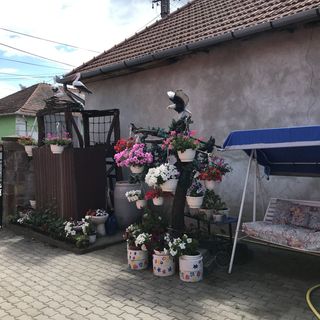 Bíró-Kéró Apartman Bogács (5)