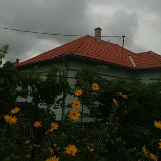 Julika Üdülőház Cserkeszőlő (2)