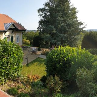 Villa Mimi Sopron (2)