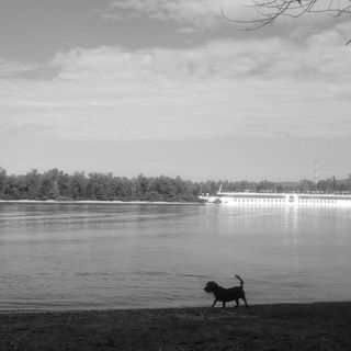 Tabán Apartman Dunakeszi (5)