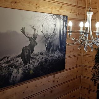 Kurort Wypoczynkowy Gabi Zakopane (4)