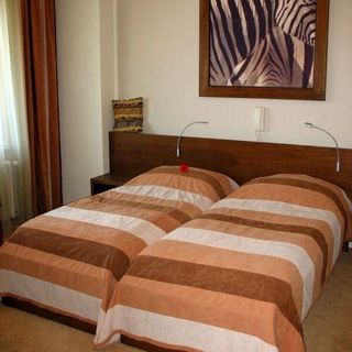 Hotel Afrika Frýdek-Místek (4)