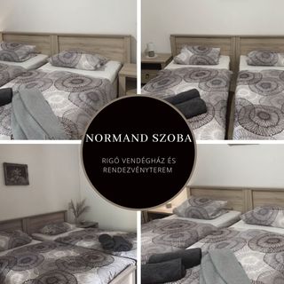 Rigó Vendégház és Rendezvényterem Gyopárosfürdő (4)