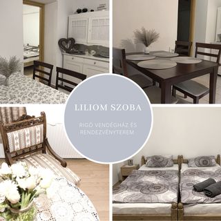 Rigó Vendégház és Rendezvényterem Gyopárosfürdő (5)