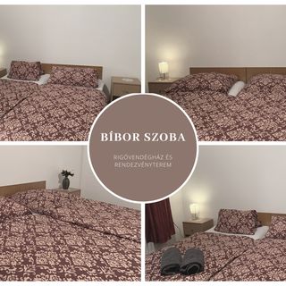 Rigó Vendégház és Rendezvényterem Gyopárosfürdő (2)