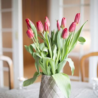 Apartament Karlik Sopot (2)