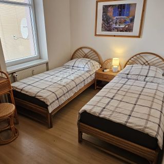 Holiday Apartments Karlovy Vary (3)