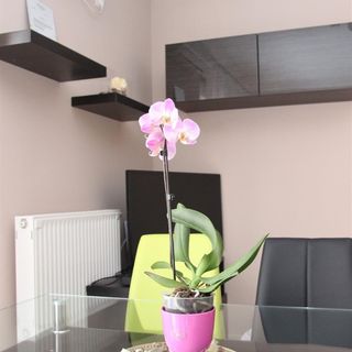 Dorka Wellness Apartman Siófok (4)
