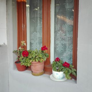 Casa de Oaspeți Kalotaszeg Izvoru Crișului (4)