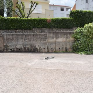 Apartment Tulip Malinska (4)