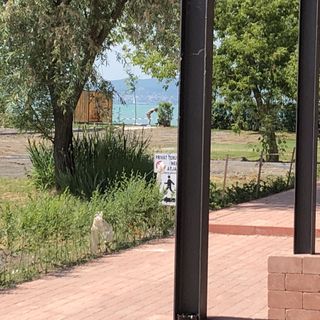 Zamárdi Parti Apartman Zamárdi (4)