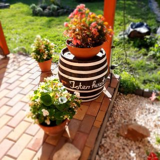 Kis Rigó Vendégház Salgótarján (5)