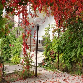 Apartmanok Parkolóhellyel Sukosan, Zadar - 5777 Sukošan (4)