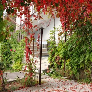 Apartmanok Parkolóhellyel Sukosan, Zadar - 5777 Sukošan (4)