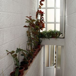 Apartmanok A Tenger Mellett Zuljana, Peljesac - 4577 Žuljana (4)