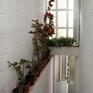 Apartmanok A Tenger Mellett Zuljana, Peljesac - 4577 Žuljana (4)