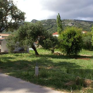 Apartmanok A Tenger Mellett Zuljana, Peljesac - 4577 Žuljana (5)