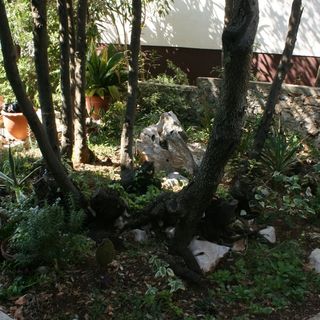 Apartmanok Parkolóhellyel Mandre, Pag - 6405 Mandre (5)