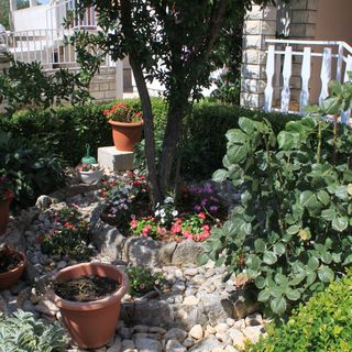 Apartmanok Parkolóhellyel Kukljica, Ugljan - 8237 Kukljica (5)