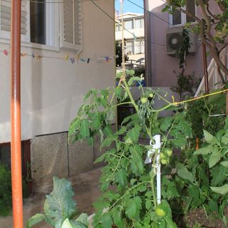 Apartmanok Parkolóhellyel Baska Voda, Makarska - 6854 Baška Voda (4)