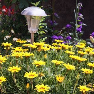 Apartmanok Parkolóhellyel Kampor, Rab - 4984 Kampor (5)