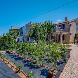 Apartmanok A Tenger Mellett Nerezine, Losinj - 2519 Nerezine (3)