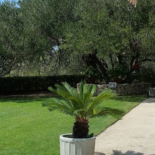 Apartmanok Parkolóhellyel Makarska - 6768 (5)