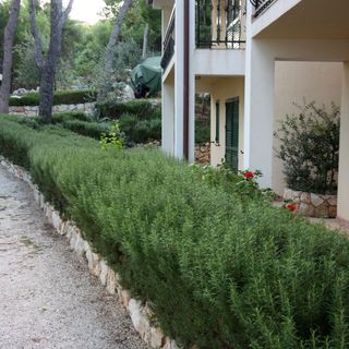 Apartmanok A Tenger Mellett Rogoznica - 3197 (4)