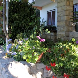 Családi Apartmanok A Tenger Mellett Kozino, Zadar - 5749 Kožino (3)