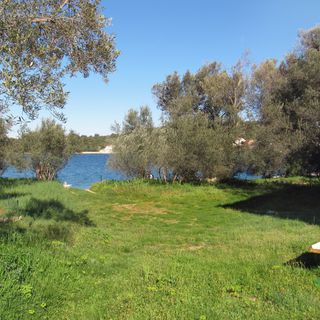 Apartmanok A Tenger Mellett Luka Dugi Otok - 8182 (4)