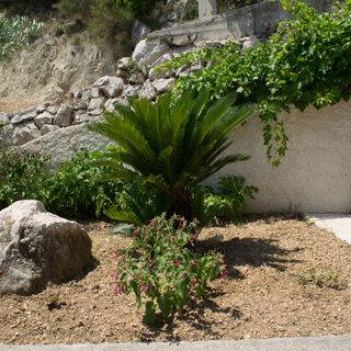 Apartmanok A Tenger Mellett Lokva Rogoznica, Omis - 6005 Lokva Rogoznica (4)