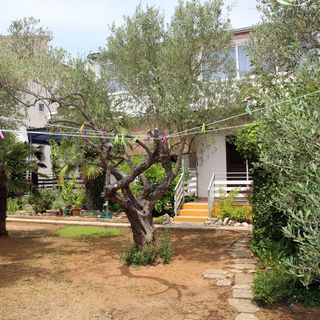 Családi Apartmanok A Tenger Mellett Vodice - 928 (4)