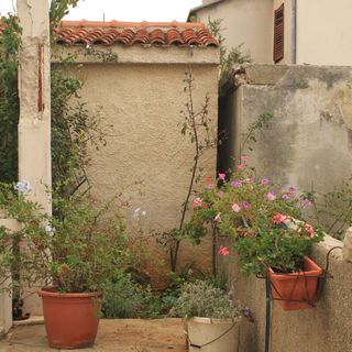 Apartmanok A Tenger Mellett Nevidane, Pasman - 8528 Neviđane (5)