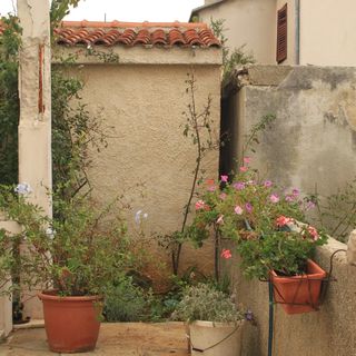 Apartmanok A Tenger Mellett Nevidane, Pasman - 8528 Neviđane (5)