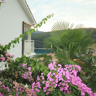 Apartmanok Parkolóhellyel Rabac, Labin - 7474 Rabac (5)