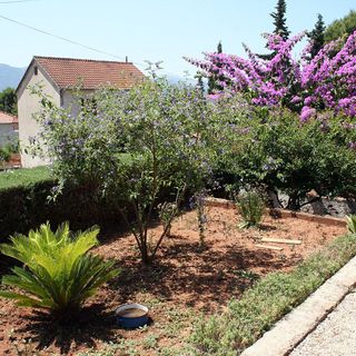 Apartmanok Parkolóhellyel Vrboska, Hvar - 4634 Vrboska (5)