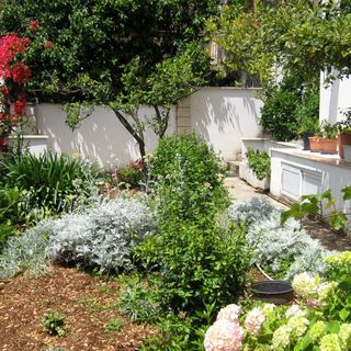 Apartmanok A Tenger Mellett Podgora, Makarska - 2615 Podgora (4)