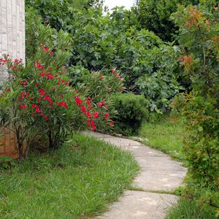 Apartmanok Internet Hozzáféréssel Jadranovo, Crikvenica - 3237 Jadranovo (5)