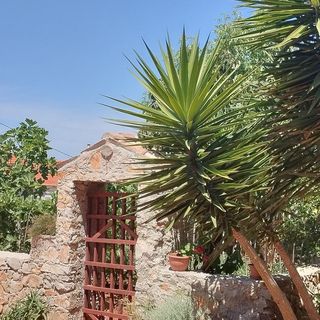 Apartmanok Parkolóhellyel Veli Losinj, Losinj - 11495 Veli Lošinj (4)