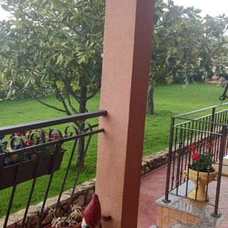 Apartmanok Parkolóhellyel Fiorini, Novigrad - 6926 Fiorini (4)