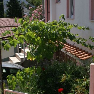 Apartmanok A Tenger Mellett Rogoznica - 4186 (5)