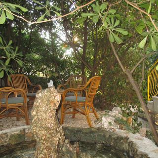 Apartmanok A Tenger Mellett Ivan Dolac, Hvar - 4584 Ivan Dolac (4)